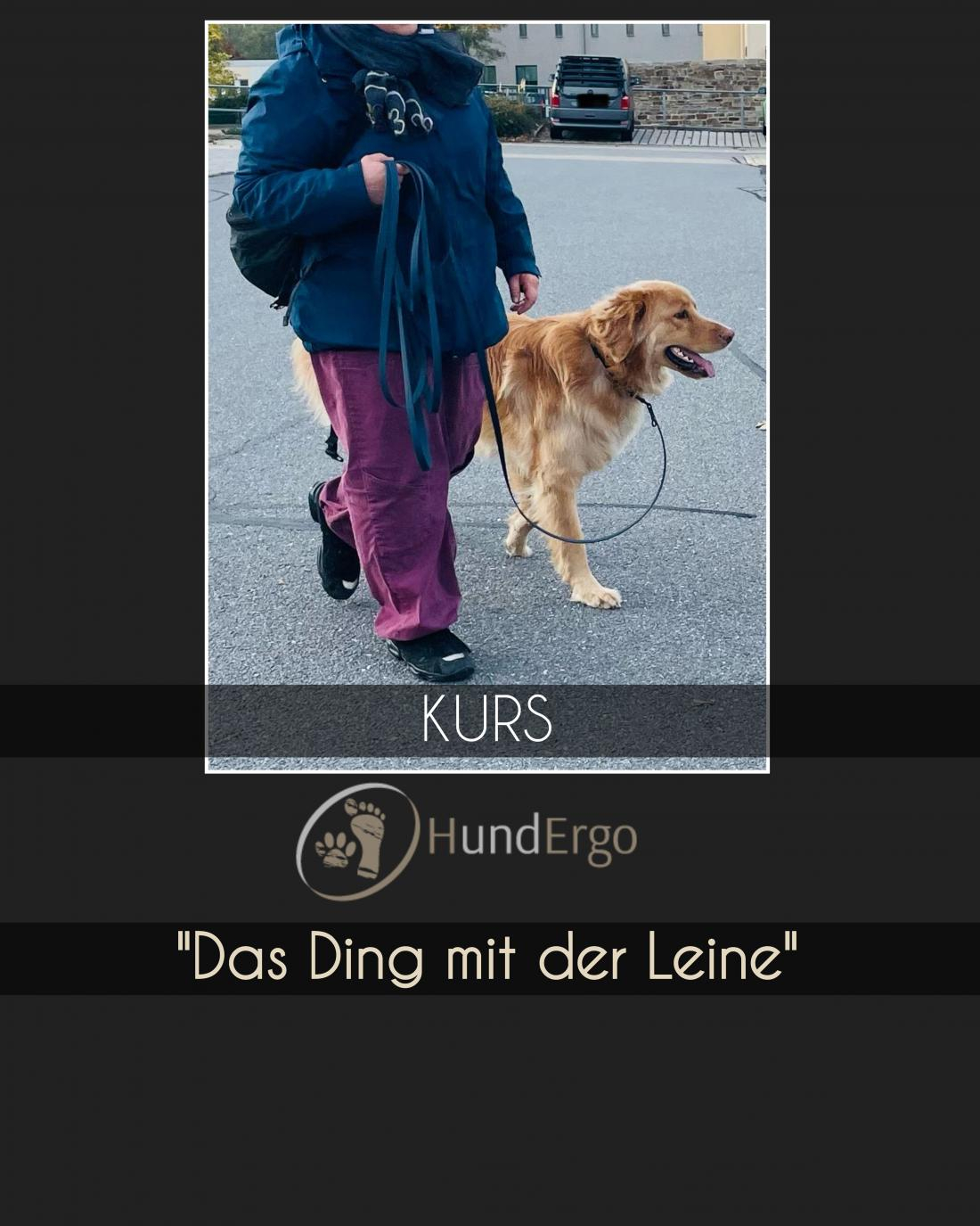 Leinenführung