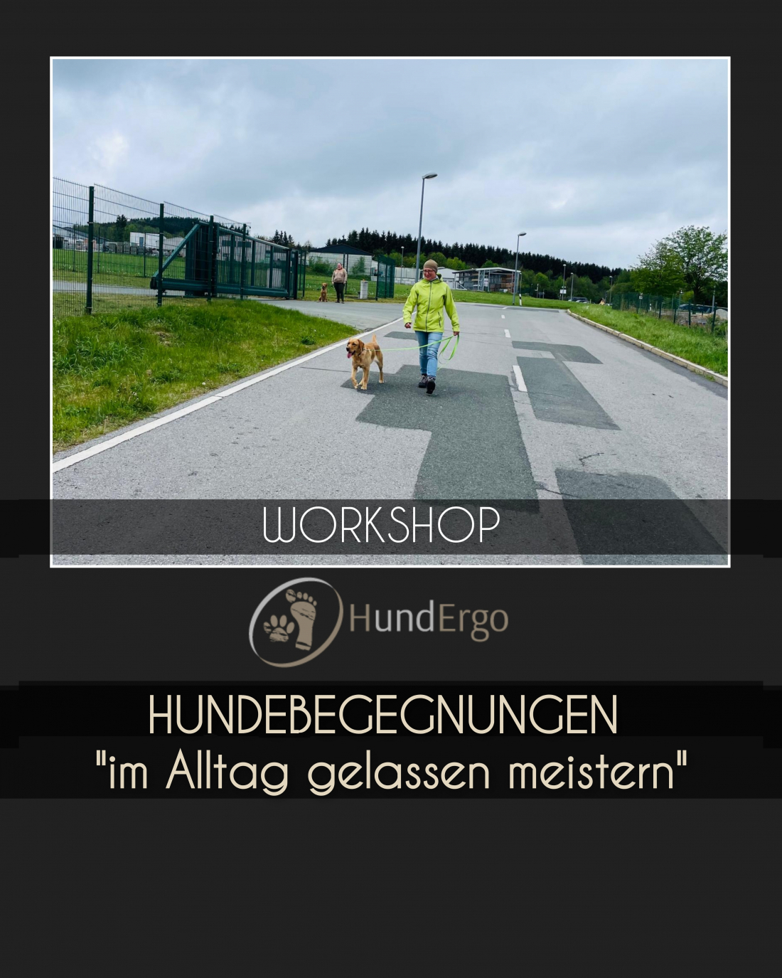 Hundebegegnungen