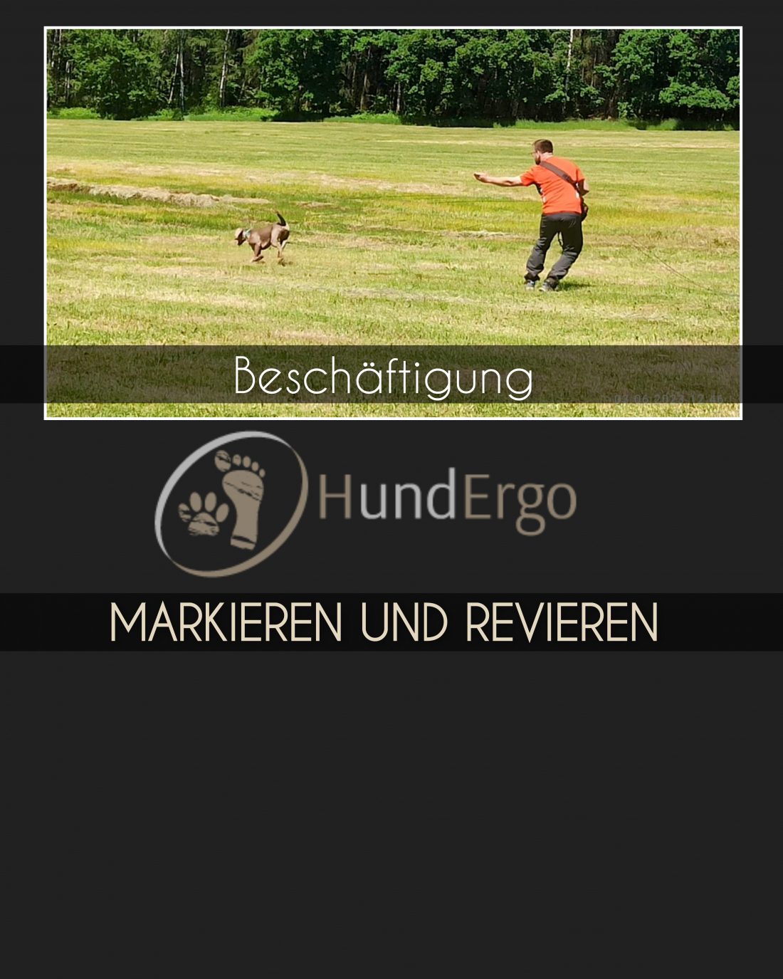Beschäftigung - Markieren und Revieren