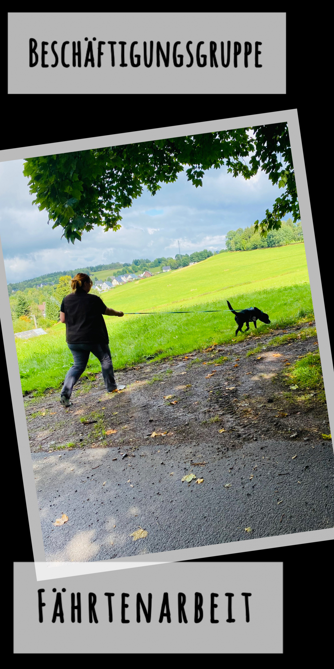 Beschäftigung - Fährtenarbeit