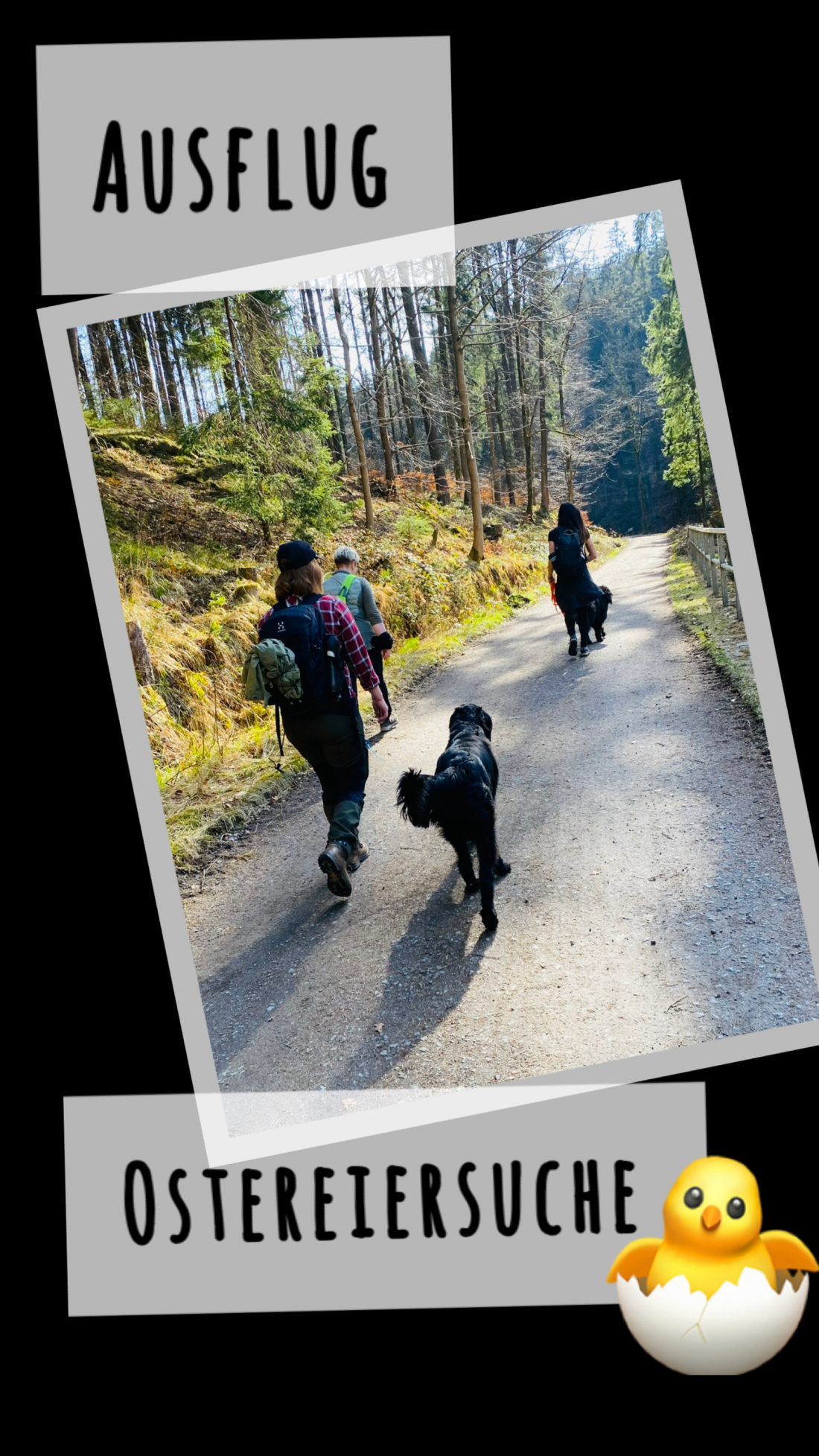 Ausflug - Ostereiersuche