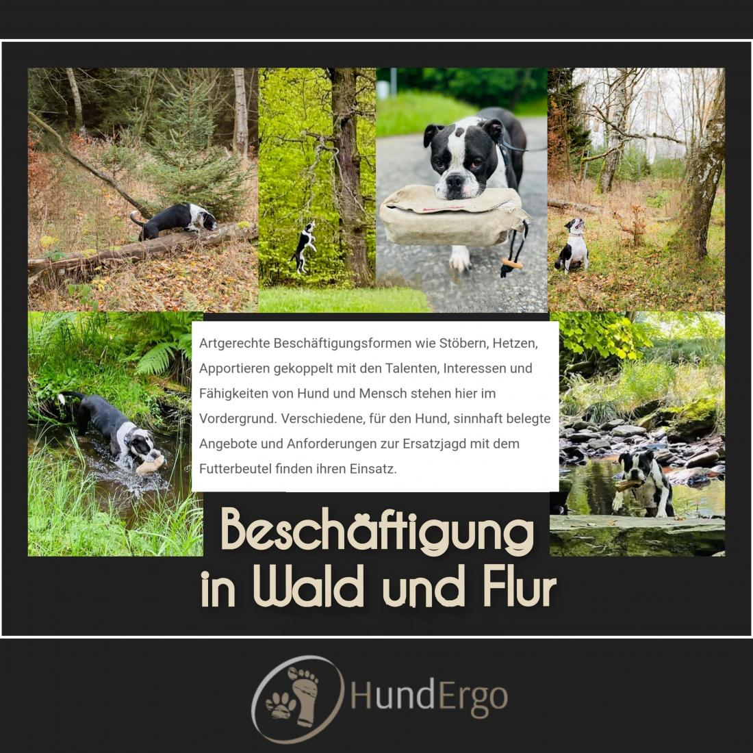 Beschäftigung - in Wald und Flur