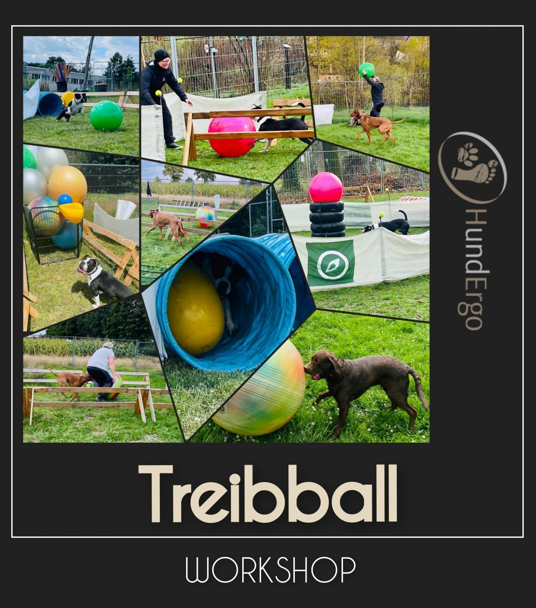 Treibball