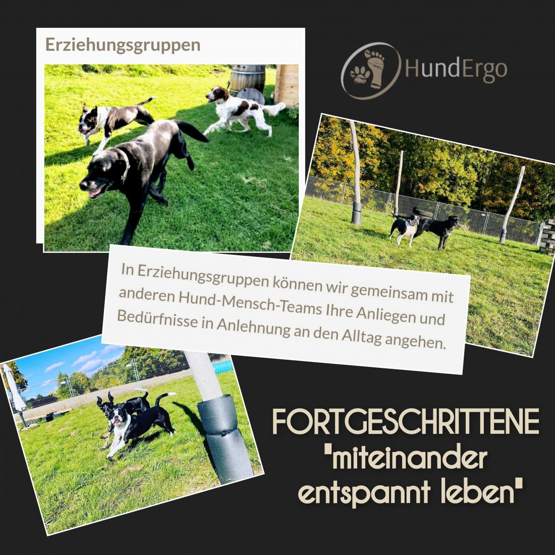 Erziehung - Fortgeschrittene