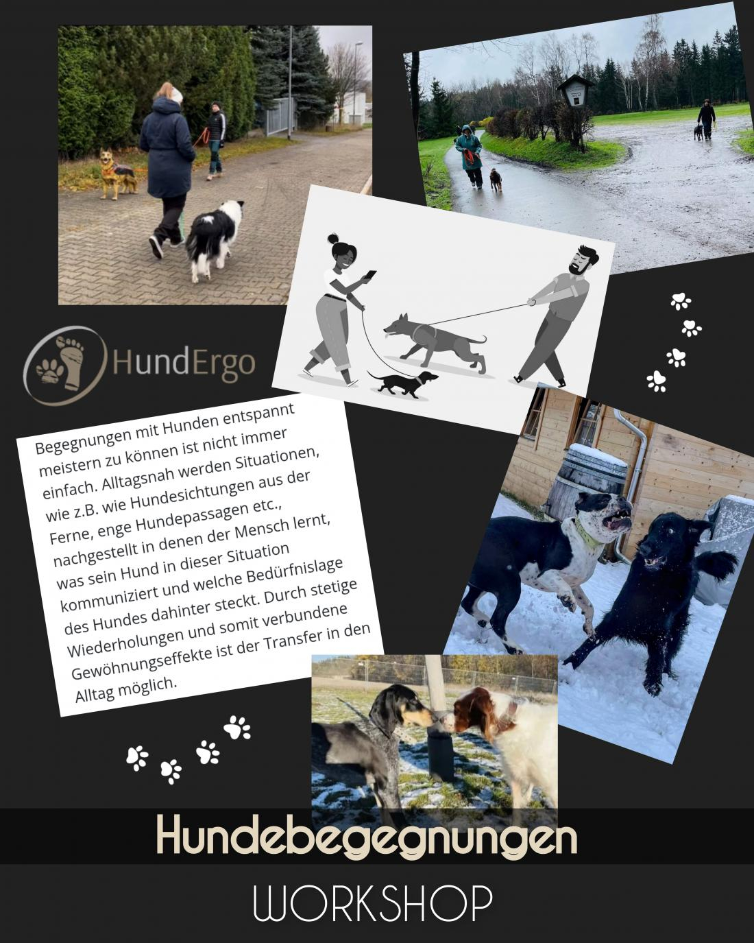 Hundebegegnungen