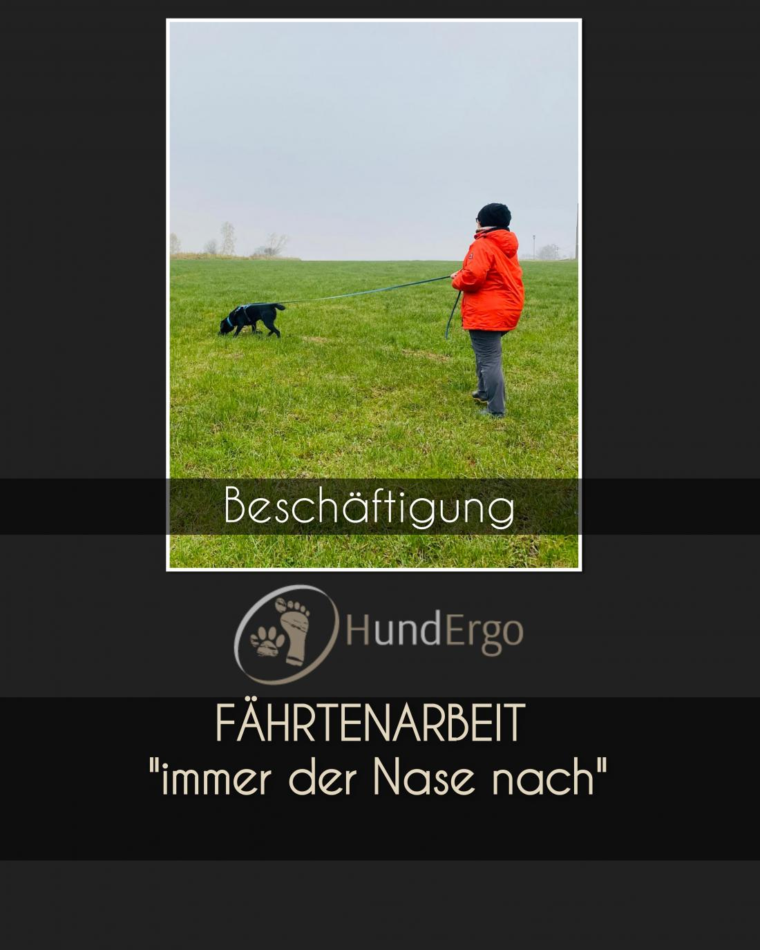 Beschäftigung - Fährtenarbeit