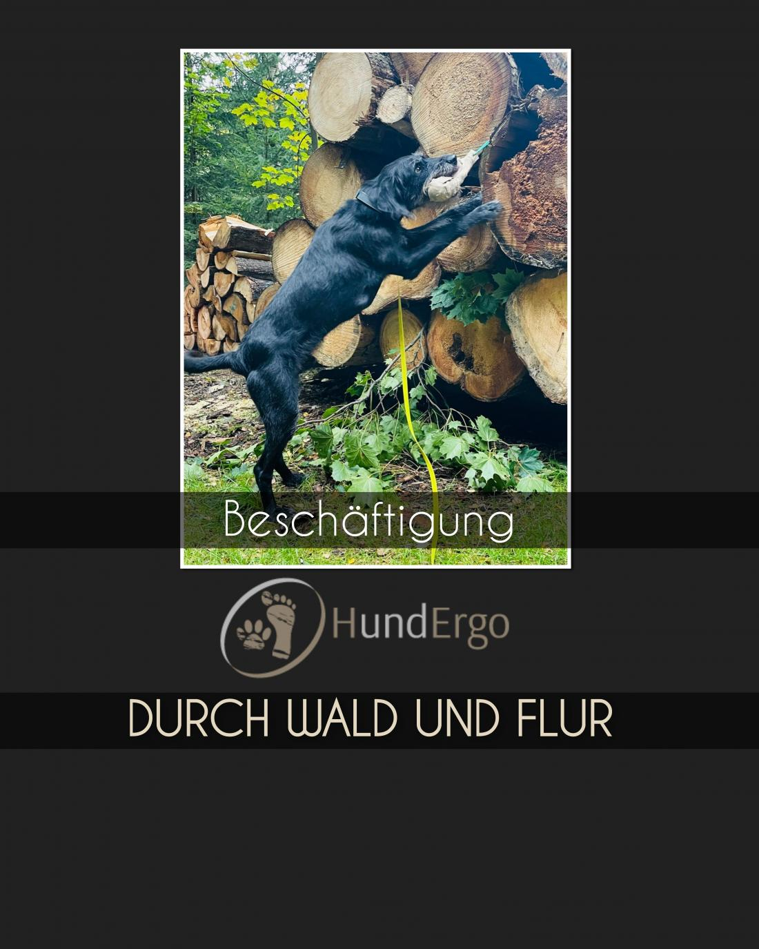 Beschäftigung - in Wald und Flur
