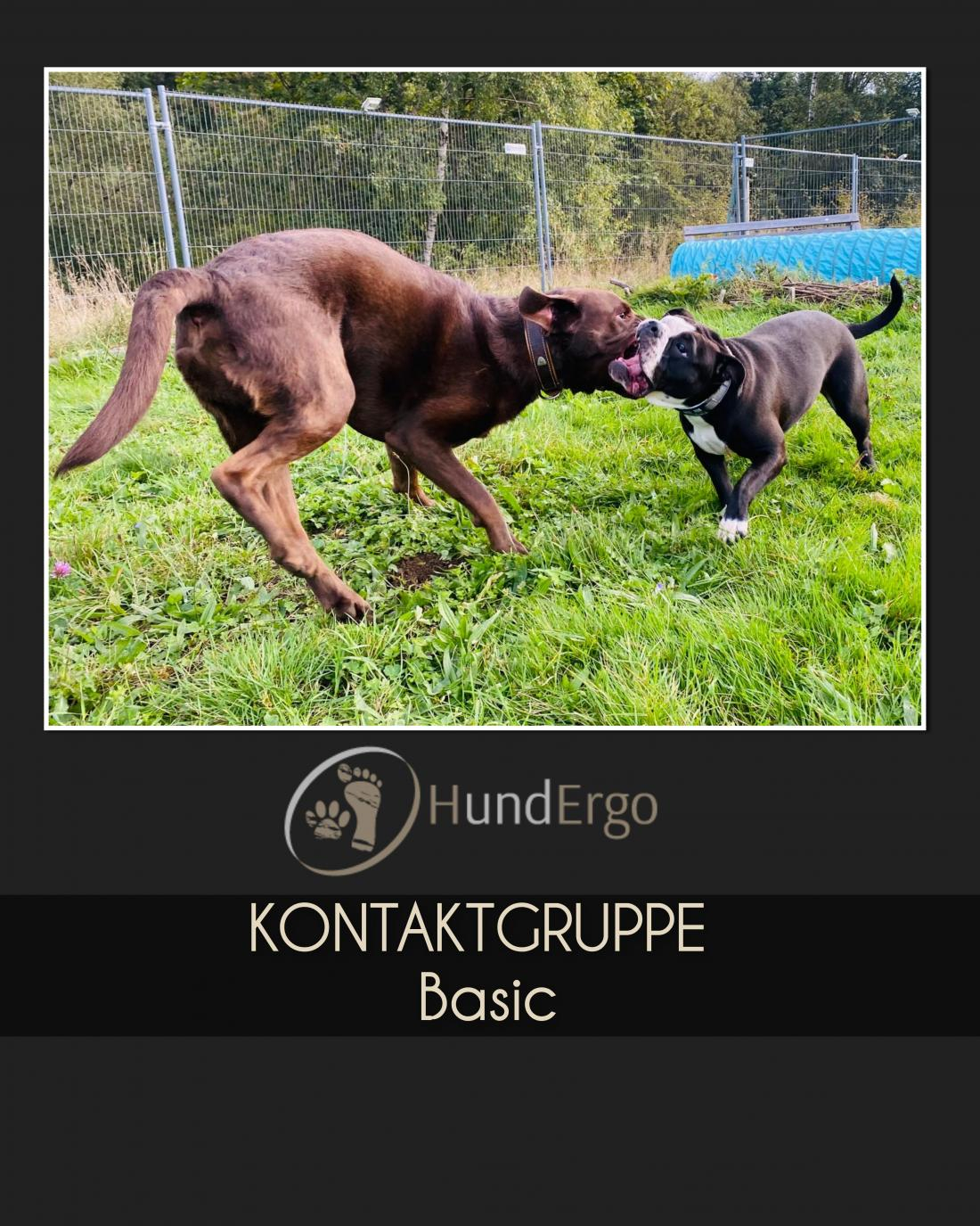 Kommunikation 